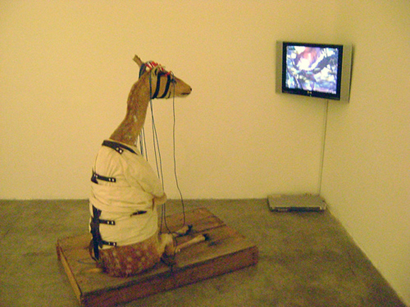 artemiobambi Bambi