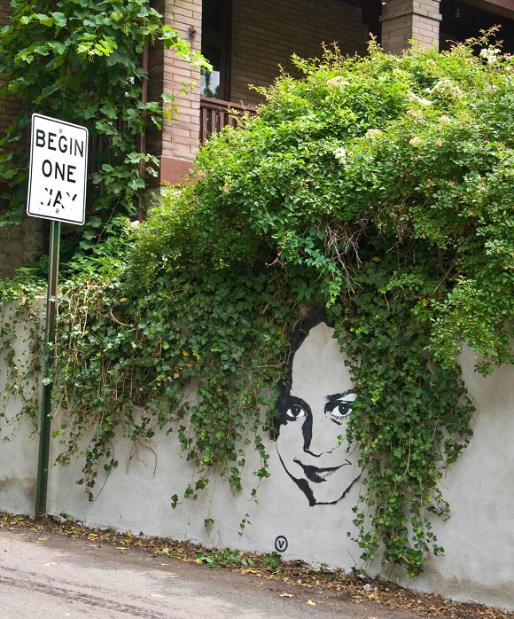 ivy pic on Design You Trust ivy Vinchen