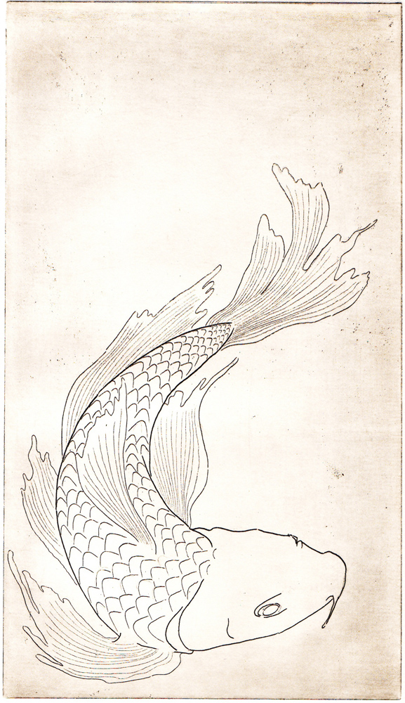 koi lines pic on Design You Trust koi lines New Etchings by Alexandra Beguez