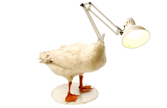 lamp 02 pic on Design You Trust lamp 02 Lamps by Sebastian Errazuriz