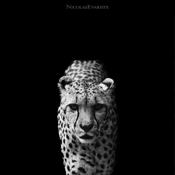 nicolasevariste pic on Design You Trust nicolasevariste Nicolas Evariste photographer