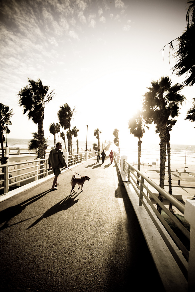 vintc Pier Revisited   Vintage Photography