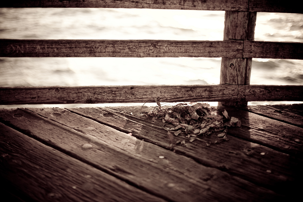 vintd Pier Revisited   Vintage Photography