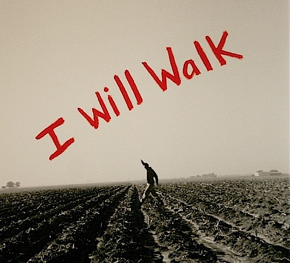 willwalk3 pic on Design You Trust willwalk3 Will Walk