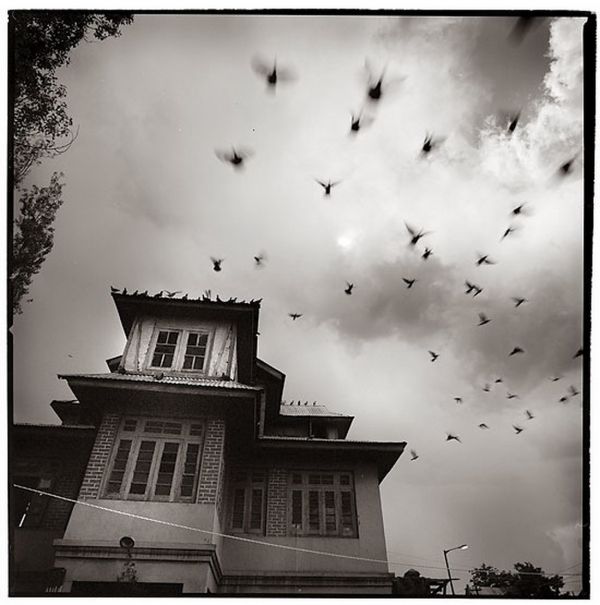 003 11 Photography by Mark Tucker