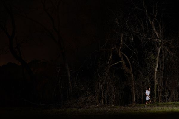 02forest Creative Photography by Cody Hamilton