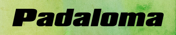 02padalomaitalic pic on Design You Trust 02padalomaitalic Friday FREE SANS SERIF FONTS