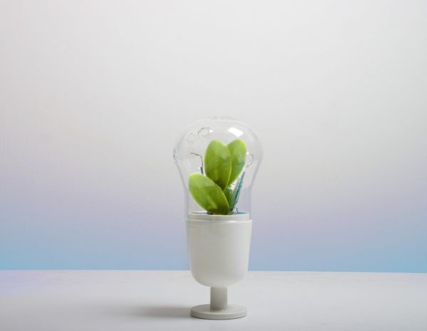 03 25 pic on Design You Trust 03 25 Matteo Cibic Editions