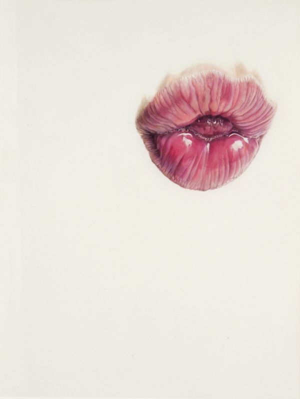 Colored Pencil by Julia Randall 04 randall lick line 20 02 16x12 02 Colored Pencil by Julia Randall