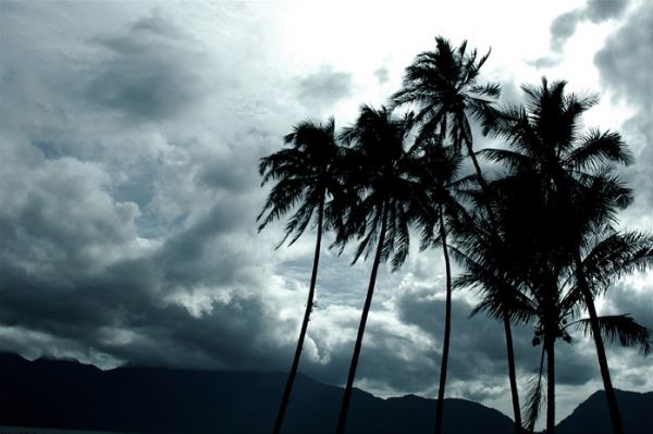 1161763A Photography by Dimas Apriano