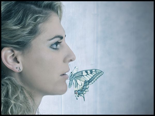 12688816 pic on Design You Trust 12688816 Photography by ANDIheld