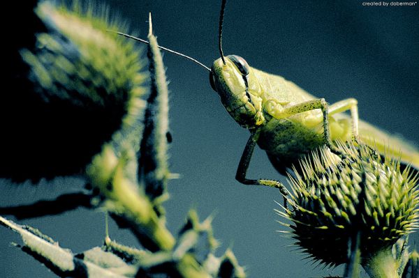 134813 Photography By Denis Bogomolov