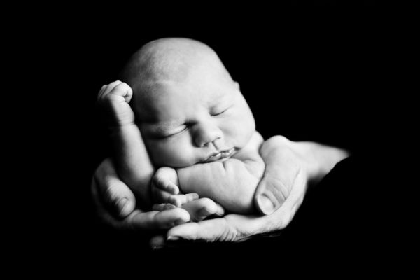 13 01 2010 0040775001263374319 leightaylor Photography By Leigh Taylor