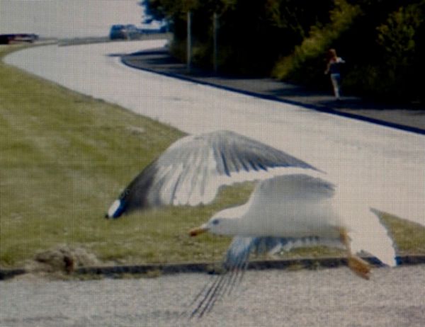 161 Michael Wolf   StreetView as a camera
