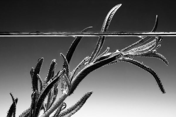 1 51 Photography by Philip Karlberg