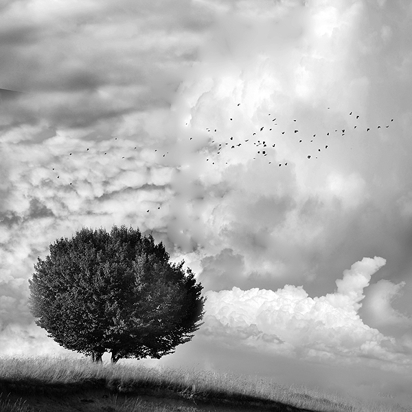 1 68 Photography by Mishu Vass