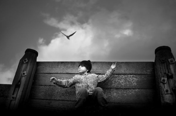 1 71 pic on Design You Trust 1 71 Photography By Chris Friel