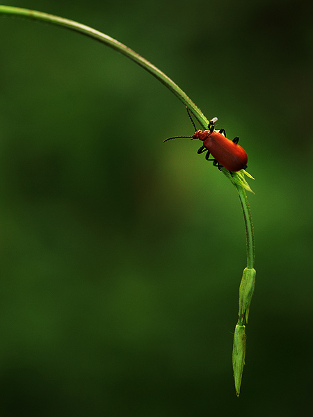 1 74 pic on Design You Trust 1 74 Photography by Hajdu Tamas