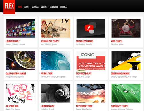 The Best New Wordpress Themes for Porfolios 1flex The Best New Wordpress Themes for Porfolios