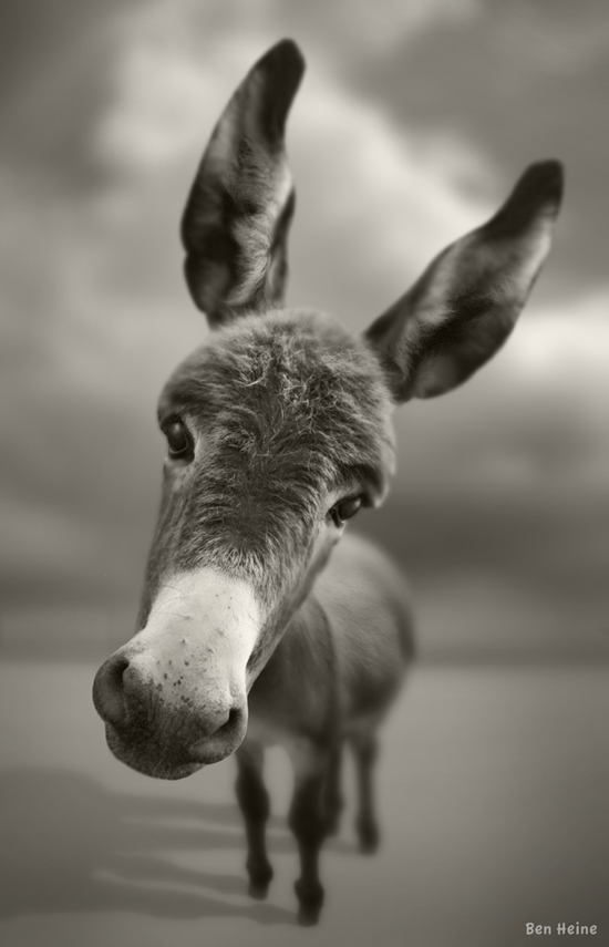285098 pic on Design You Trust 285098 Photography by Ben Heine