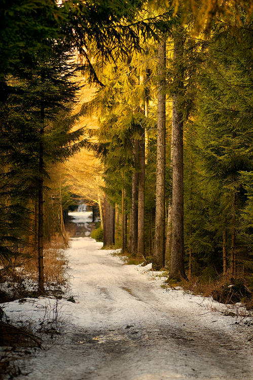 290063 pic on Design You Trust 290063 Photography by Marco Heisler