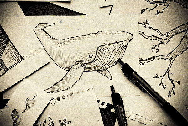 Sketch 1