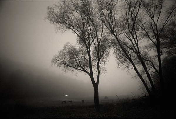 3017054688 2795041ae3 o600x408 Photography by Leonhard Kätzel