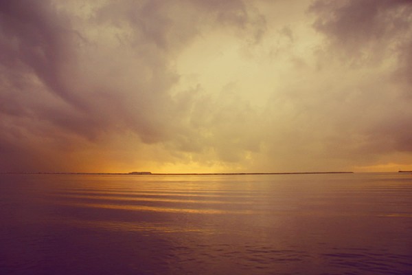3460066149 8c7b43927a o600x400 Photos by Tim Navis