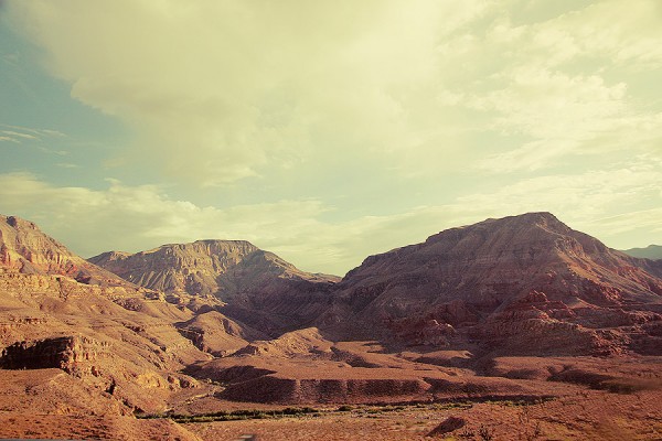 3522519807 abb5668627 o600x400 Photos by Tim Navis