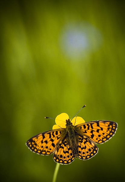 3 30 pic on Design You Trust 3 30 Photography by Hajdu Tamas