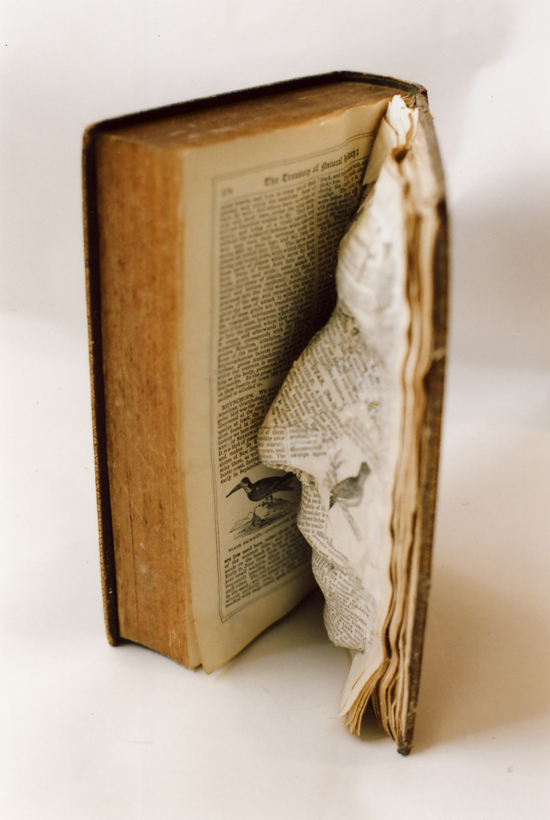 Book & Paper Art by the Unicorn Diaries 4070095834 07edc4bd1f o Book & Paper Art by the Unicorn Diaries