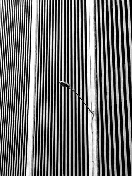 419825795_f461fd9874_b_01.jpg