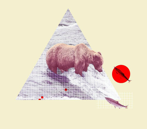 45463 508771448044 226300632 213946 7084155 n 03 Animals