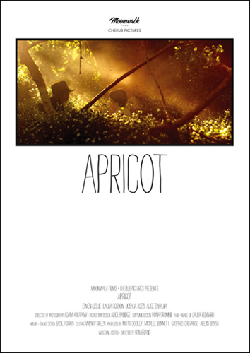 Do you remember your first love? your first kiss? Do you remember? APRICOT by Ben Briand APRICOT poster 500 Do you remember your first love? your first kiss? Do you remember? APRICOT by Ben Briand