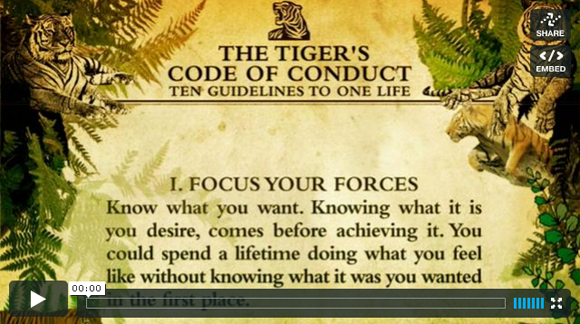 Afbeelding4 the Tigers Code of Conduct