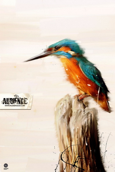 Audience33 Illustations Audience333 Audience33 Illustations
