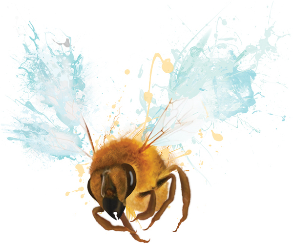 Bee 04 Variations of Flight