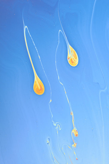 Photography by Bogdan Chesaru