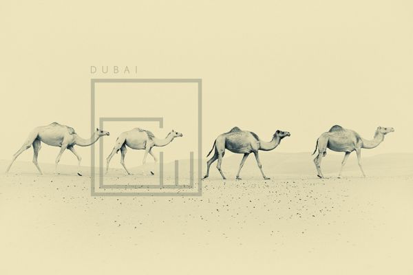 Digital art selected for the Daily Inspiration #421