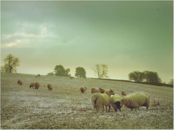 Day Break by lucias tears pic on Design You Trust Day Break by lucias tears Wonderful Landscape Photos of Rebecca Cusworth