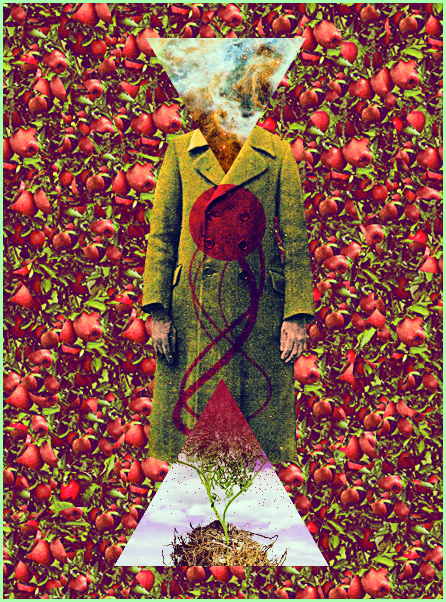 Fbula armonia serie by ynalambryco