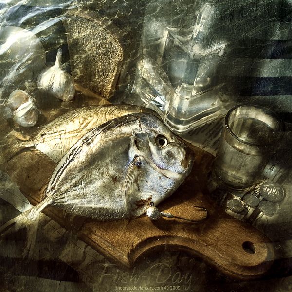 Fish Day by inObrAS pic on Design You Trust Fish Day by inObrAS Amazing Work of Inobras