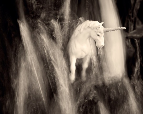 JeffFriesen2 Black and White Photography by Jeff Friesen