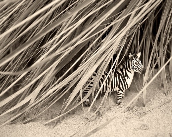 JeffFriesen3 Black and White Photography by Jeff Friesen