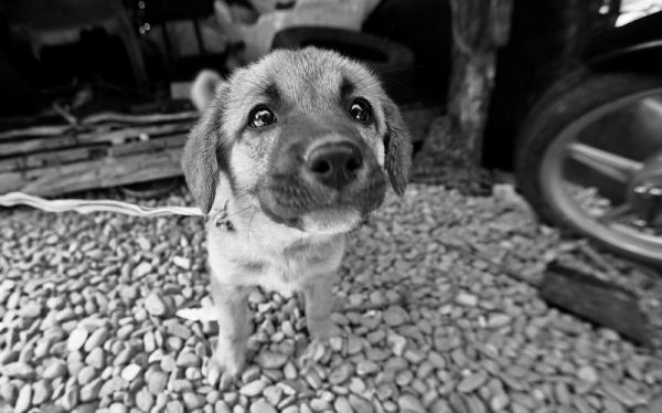 JoyDatta3 Photography by Joy Datta