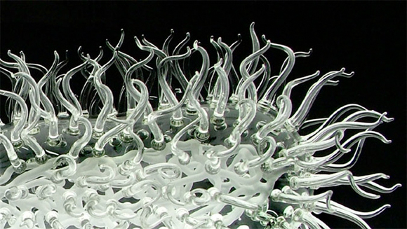 LukeJerram01 Glass Microbiology | Luke Jerram