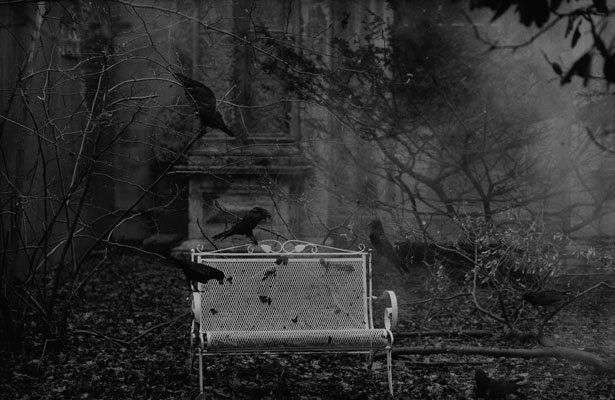 The Birds by Peter Lindbergh