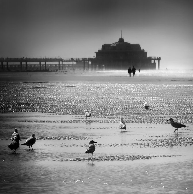 Black and White Photography by Piet Flour PietFlour2 01 Black and White Photography by Piet Flour