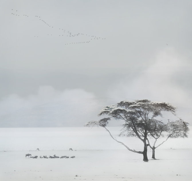Black and White Photography by Piet Flour PietFlour 01 Black and White Photography by Piet Flour
