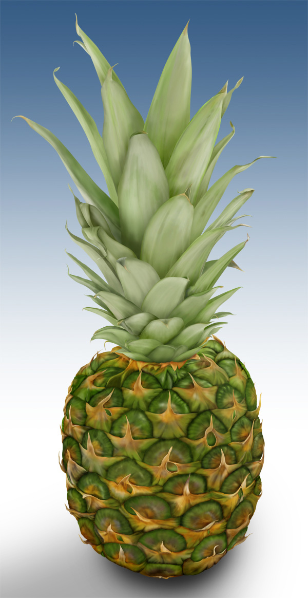 Pineapple 04 Photoshop illustrations